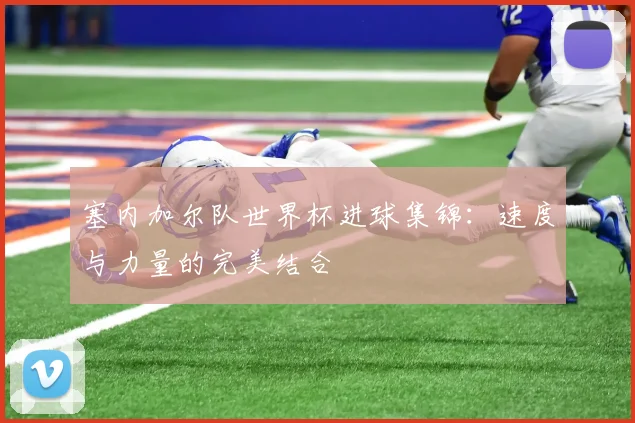 塞内加尔队世界杯进球集锦:速度与力量的完美结合