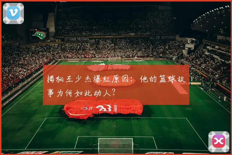 揭秘王少杰爆红原因:他的篮球故事为何如此动人?